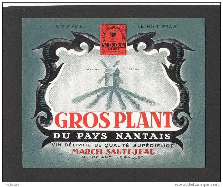 Etiquette De Vin Gros Plant Du Pays Nantais -  M. Sautejeau  Le Pallet  (44) - Moulins à Vent