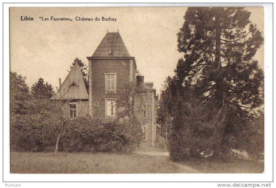 7841 - LIBIN - Les Fauvettes - Château Du Buchay - Libin