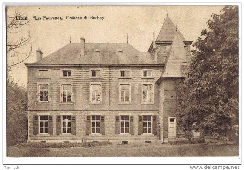 7844 - LIBIN - Les Fauvettes - Château Du Buchay - Libin