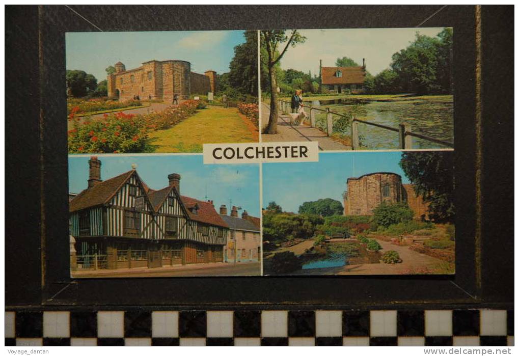 COLCHESTER THE CASTLE BOURNE MILL-THE OLD SIEGE HOUSE LILY POND ET CASTLE - Colchester