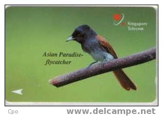 # SINGAPORE 25SIGD Asian Paradise-flycatcher 10 Landis&gyr  -oiseaux,birds- Tres Bon Etat - Singapur