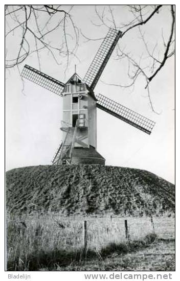 HARELBEKE (W.Vl.) - Molen/moulin/mill - De Koutermolen, Kort Na Zijn Oprichting In 1984 In Domein De Gavers. - Harelbeke
