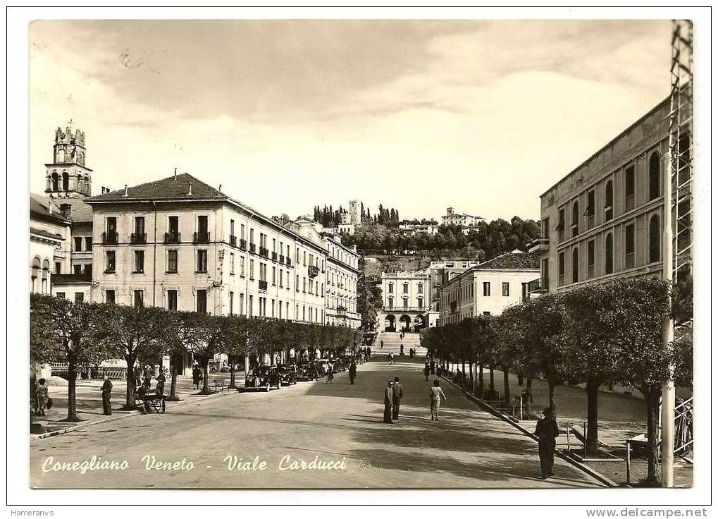 Conegliano Veneto - Viale Carducci - Animata - H1035 - Treviso