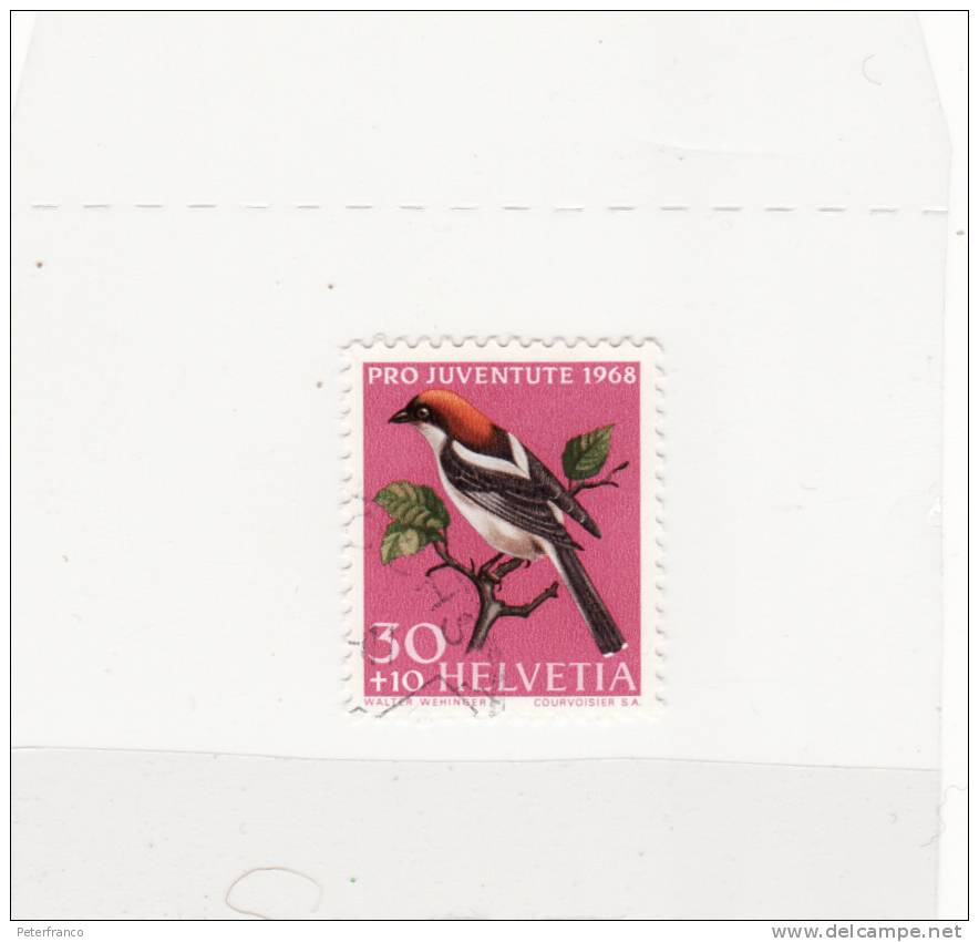 1968 Svizzera - Uccelli Indigeni - Averla - Gallinacées & Faisans
