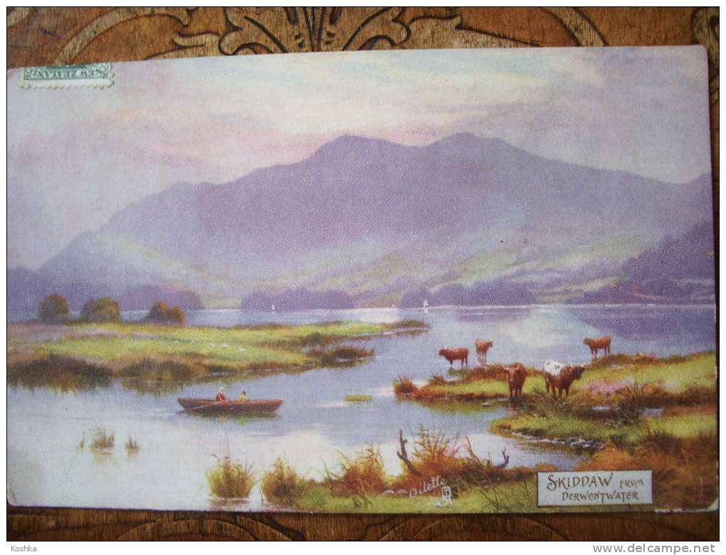 Tuck's Post Card - Oilette - SKIDDAW - From Derwentwater - 1908 - Lot 146 - Tuck, Raphael
