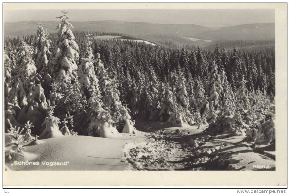 Landschaften Aus Dem Schönen Vogtland Im Winter, Stempel Aus Rodewisch - Vogtland