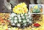 3x,Carte Maximum With Cactusses 1997. - Sukkulenten