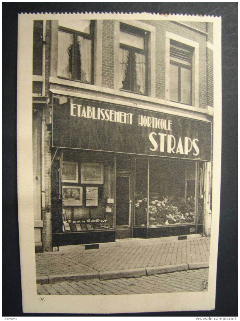 Liège. C1. Revêtement En Marbrite De La Façade D'un De L'établissement Horticole STRAPS Probablement De Liège - Liège