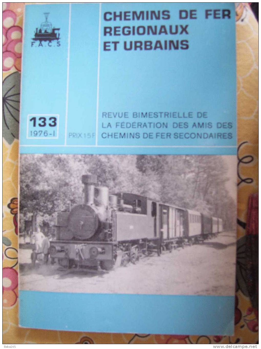 CHEMINS DE FER REGIONAUX ET URBAINS 1976 A TRAVERS LE JURA FRANCAIS - Trains