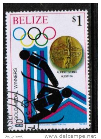 BELIZE   Scott #  506  VF USED - Belize (1973-...)