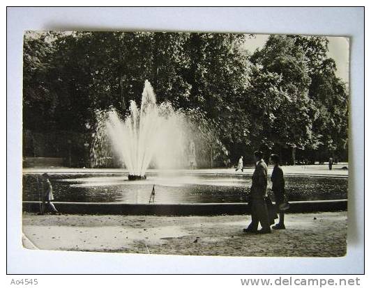 DC02 Postkaart Bruxelles - Parc Royal - Bossen, Parken, Tuinen