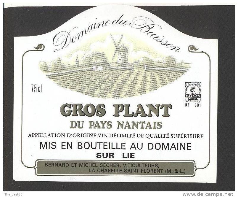 Etiquette De Vin Gros Plant Du Pays Nantais -  Domaine Du Buisson - Sécher La Chapelle Saint Florent (49 - Moulin à Vent - Moulins à Vent
