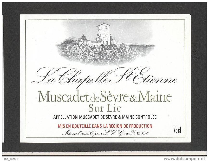 Etiquette De Vin Muscadet De Sèvre Et Maine Sur Lie - La Chapelle Saint Etienne  - SVG à 22800 - Moulin à Vent - Mulini A Vento
