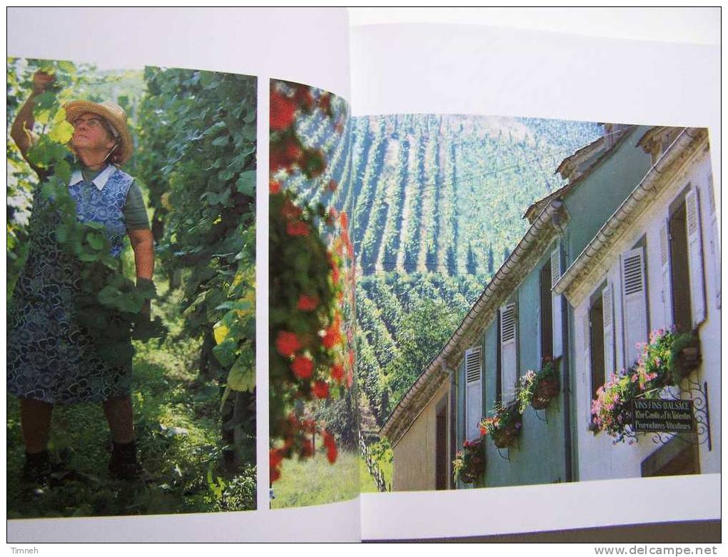 LE VIN D'ALSACE vignes architecture histoire cépages confrérie EDITIONS MONTALBA -relié beau livre 1978 photos texte