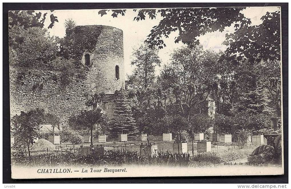 CPA  ANCIENNE- FRANCE- CHATILLON (37)- LA TOUR BECQUEREL ET LES BACS  A  AGRUMES EN GROS PLAN- 2 SCANS - Altri & Non Classificati