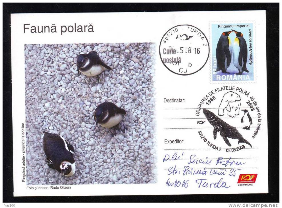 Manchot Empereur / Adélie, Entier 2007 – Emperor And Adelie Penguin Stationery Postcard, Polar Year 2007. Pingouin - Pinguïns & Vetganzen
