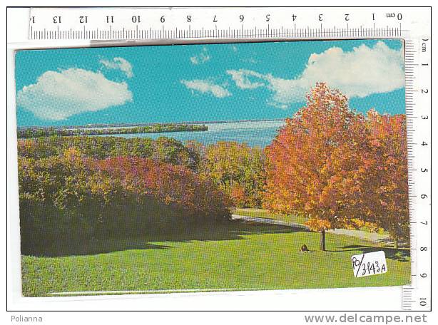 PO3143A# WISCONSIN - MADISON - PICNIC POINT  VG 1979 - Madison