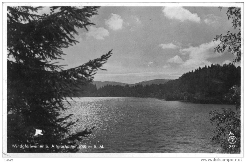 11156   Germania  Windgfallweiher B.  Altglashutten 1000 M U. M.  VG - Feldberg