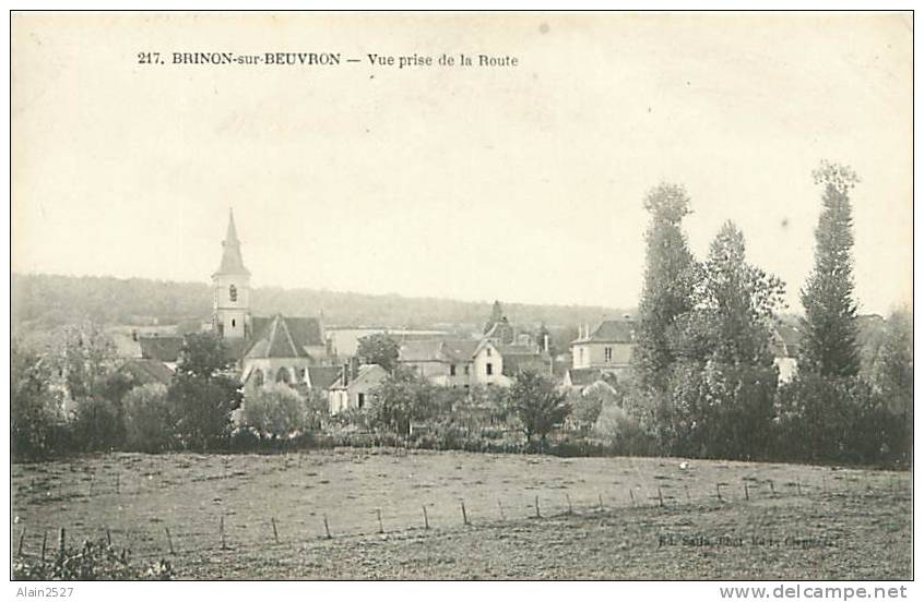 58 - BRINON-sur-BEUVRON - Vue Prise De La Route (n° 217) - Brinon Sur Beuvron