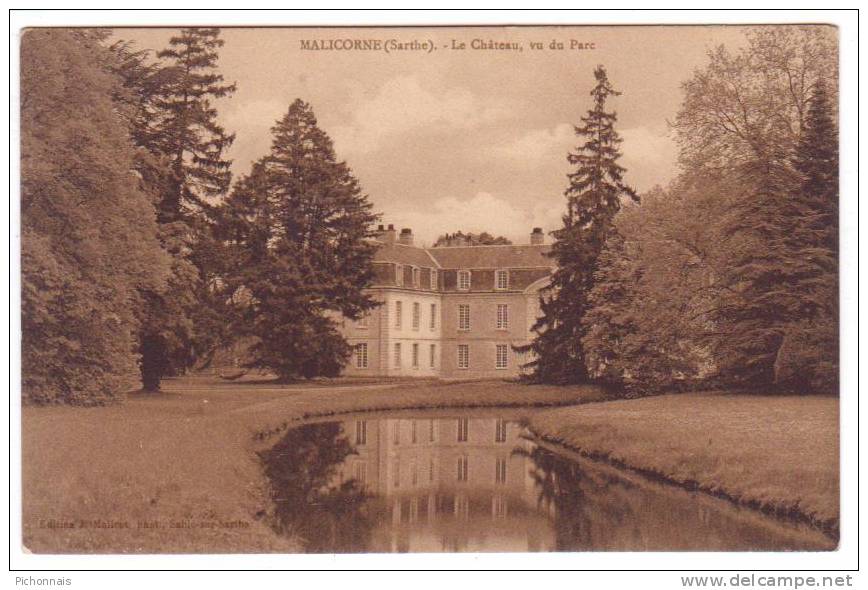 72  MALICORNE   Le Chateau Vu Du Parc - Malicorne Sur Sarthe