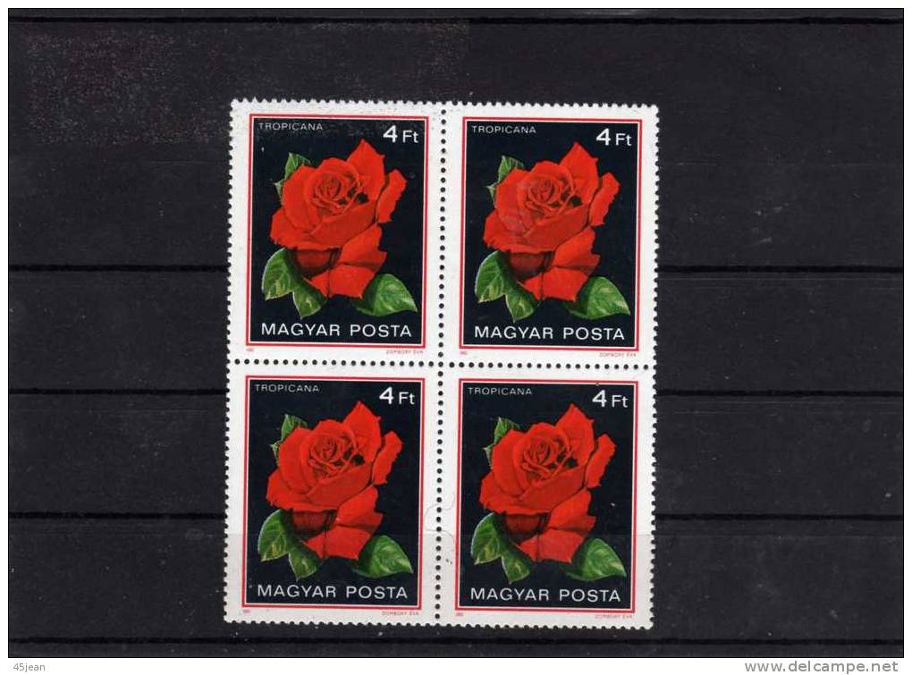 Hongrie: 1982 Roses Série Complète De 1982 En Blocs De 4 Neufs** - Unused Stamps