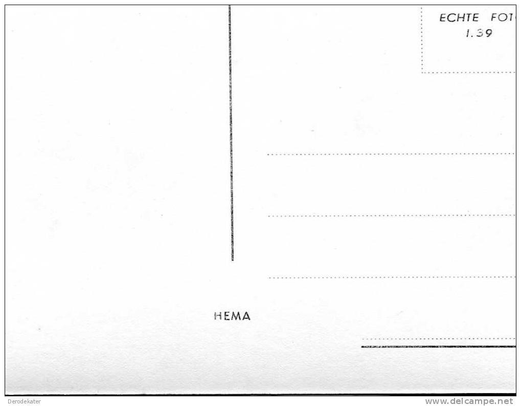 Arnhem, Theeschenkerij Sonsbeek. Echte Foto 1.39. Hema. Onbeschreven. - Arnhem