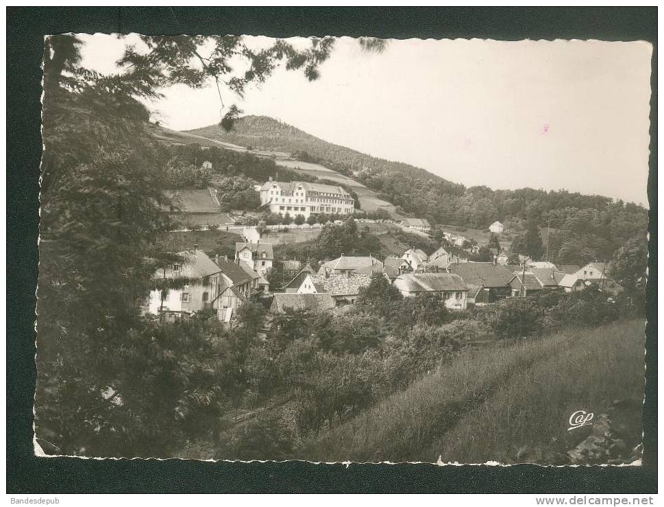 CPSM - Orbey (68) - Vue Générale ( CAP 544) - Orbey