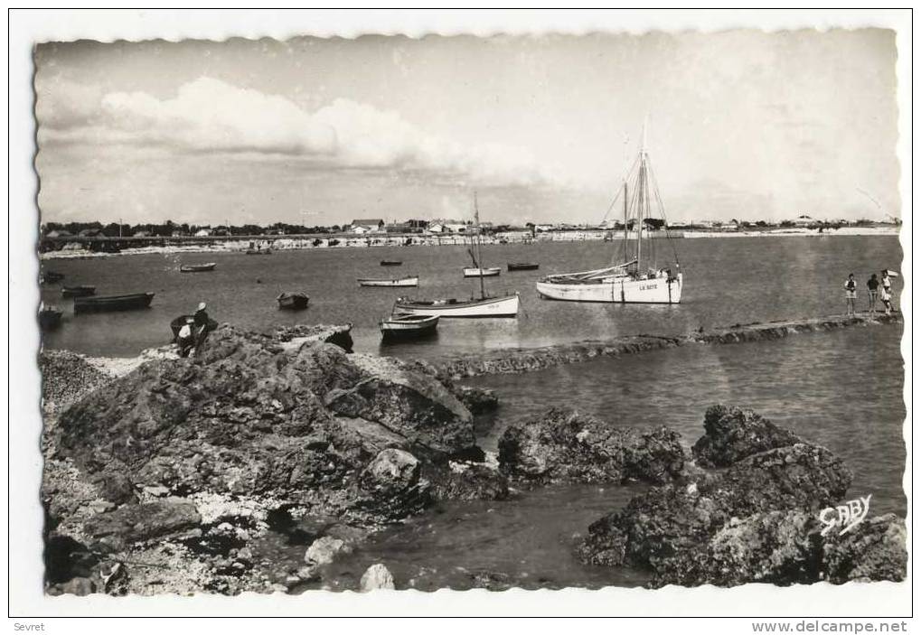 ANGOULINS Sur Mer -  Le Port . CPSM 9x14. - Angoulins