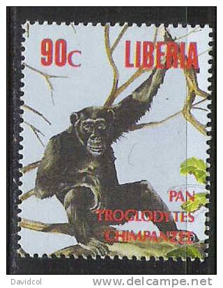 Q880.-.LIBERIA .-. 1993 .-. SCOTT #: 1160f  MNH .-. CHIMPANZES / CHIMPANCES. - Chimpanzees