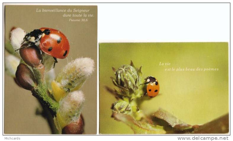 2 CPM Represantant Une COCCINELLE - Insectes