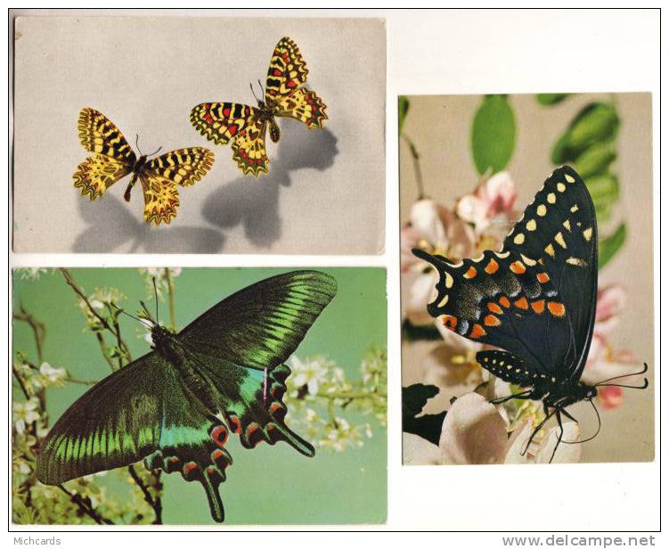 3 CPM - Lot 2 - PAPILLONS - Papillons