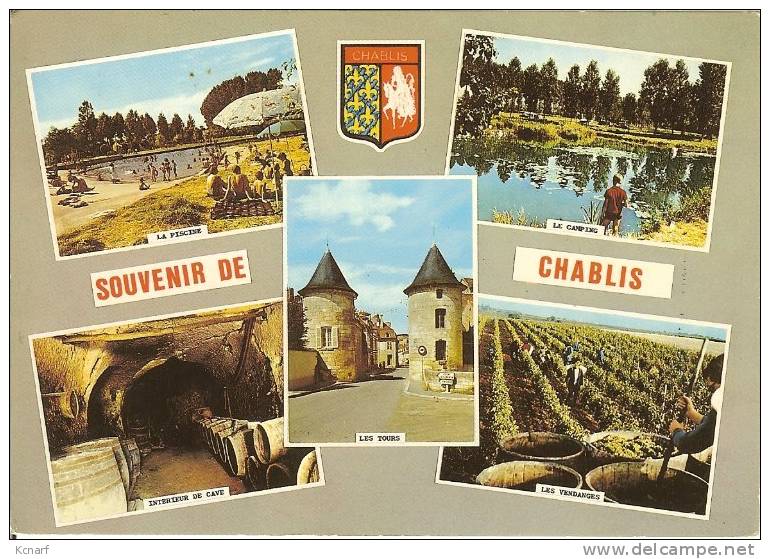 CP De CHABLIS " Souvenir De Chablis - La Piscine , Le Camping , Intérieur De Cave , Les Tours , Les Vendanges " . - Chablis