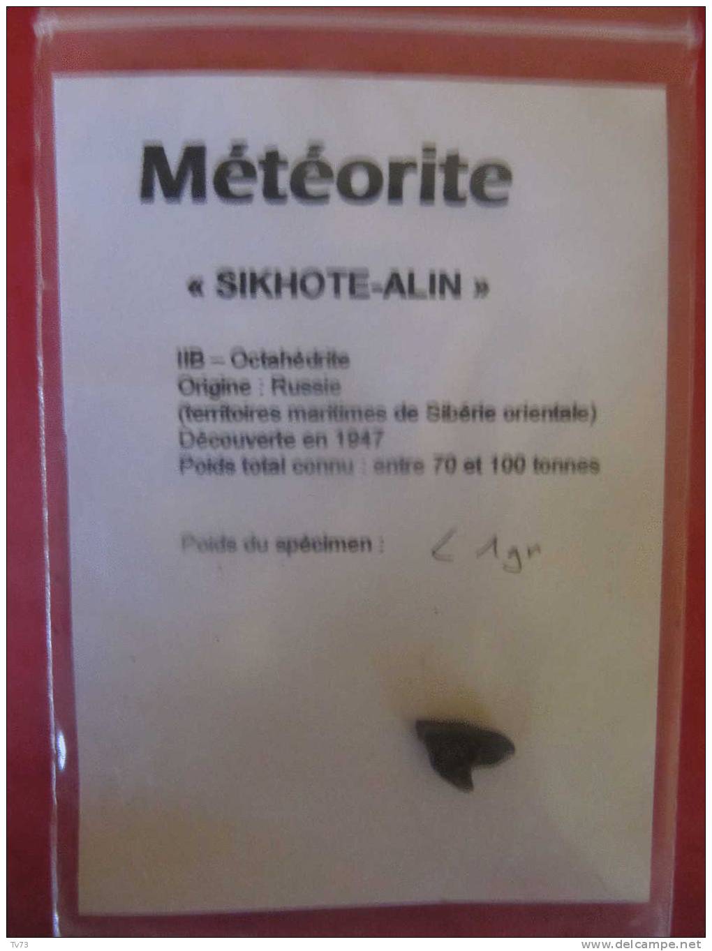 Meteorite SIKHOTE ALIN Authentique - SIK 02 - Meteorieten