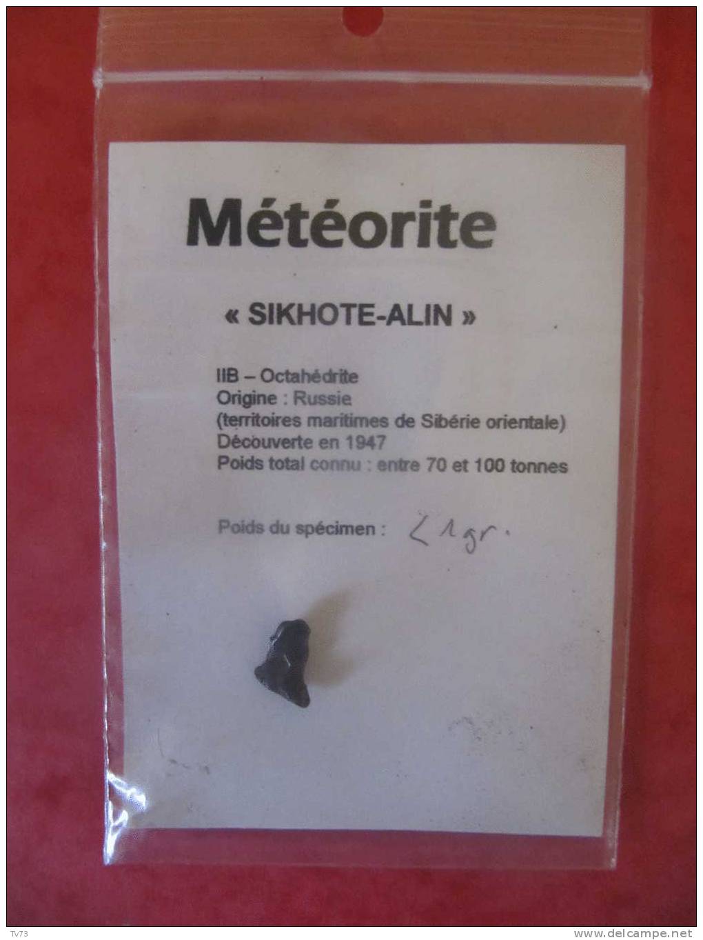 Meteorite SIKHOTE ALIN Authentique - SIK 04 - Meteorites