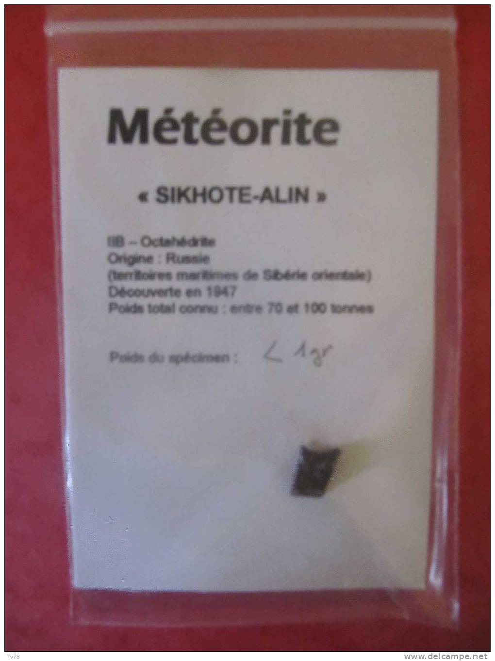Meteorite SIKHOTE ALIN Authentique - SIK 06 - Meteorieten