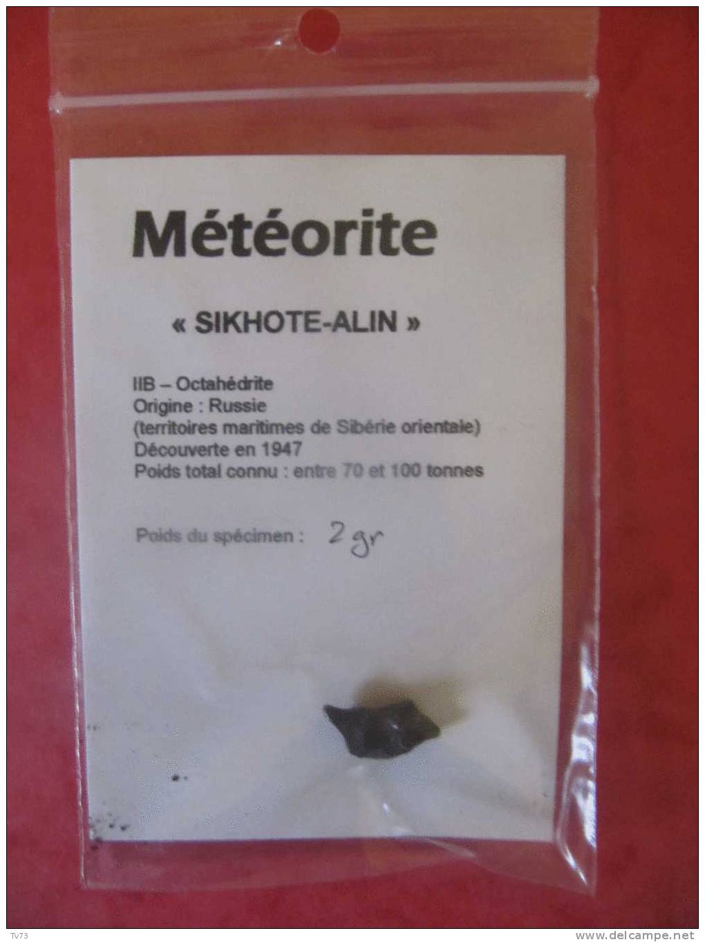 Meteorite SIKHOTE ALIN Authentique - SIK 12 - Meteorites