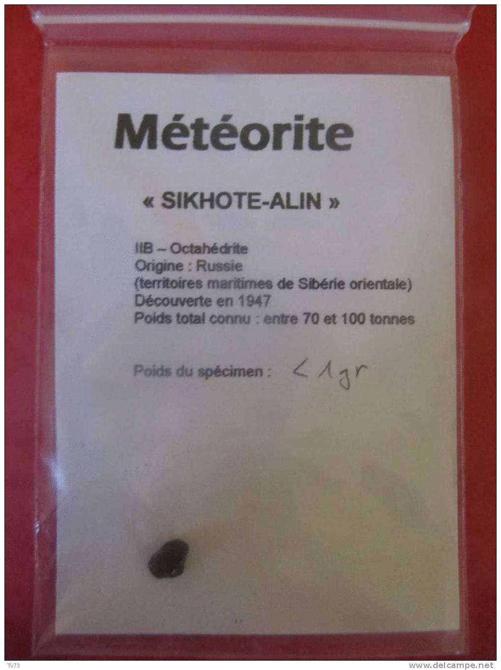 Meteorite SIKHOTE ALIN Authentique - SIK 01 - Meteoriten
