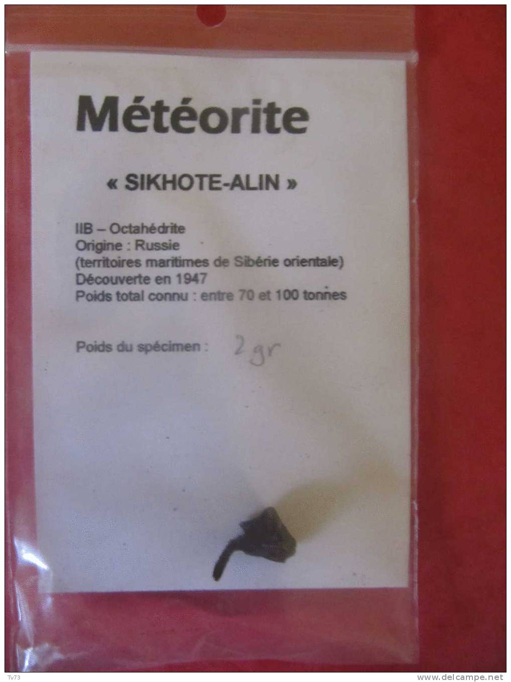 Meteorite SIKHOTE ALIN Authentique - SIK 11 - Meteorites