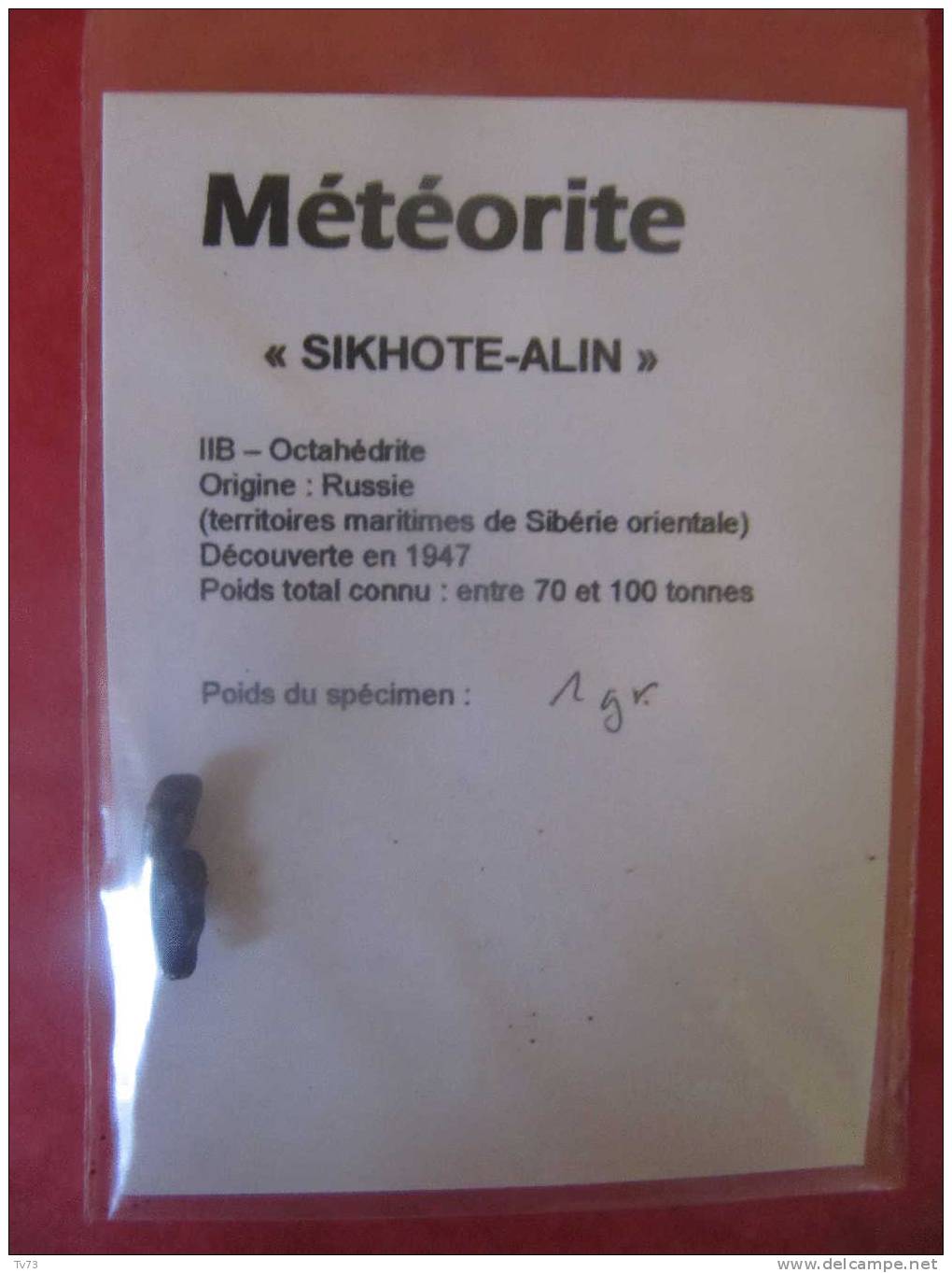 Meteorite SIKHOTE ALIN Authentique - SIK 07 - Meteorieten