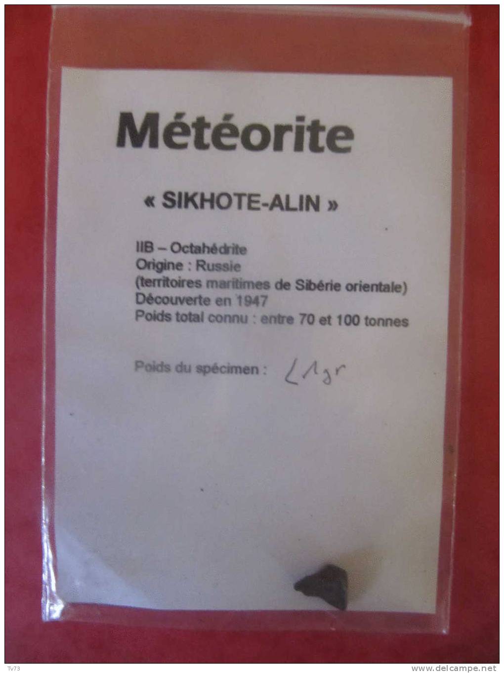 Meteorite SIKHOTE ALIN Authentique - SIK 05 - Meteoritos