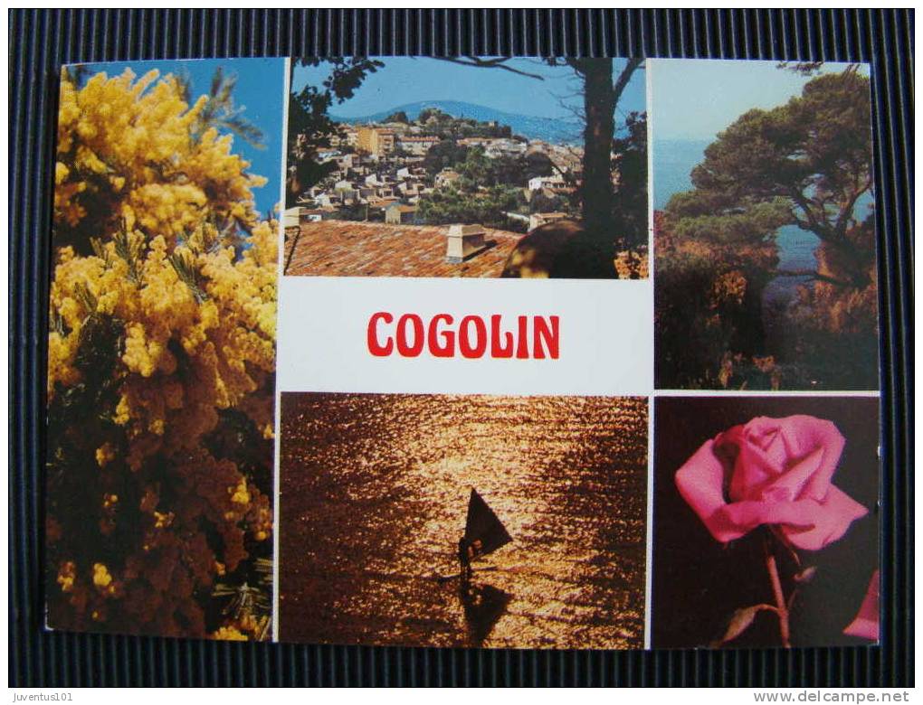CPSM 83 Cogolin - Cogolin