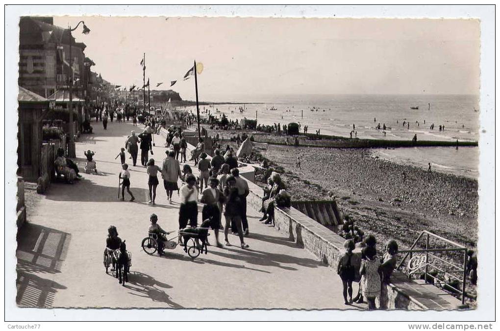 K16 - SAINT-AUBIN-sur-MER - La Promenade (1956) - Saint Aubin