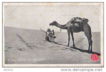 ALGERIE - La Halte Au Desert - Scenes