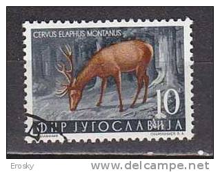 PGL - YUGOSLAVIE Yv N°645 - Used Stamps