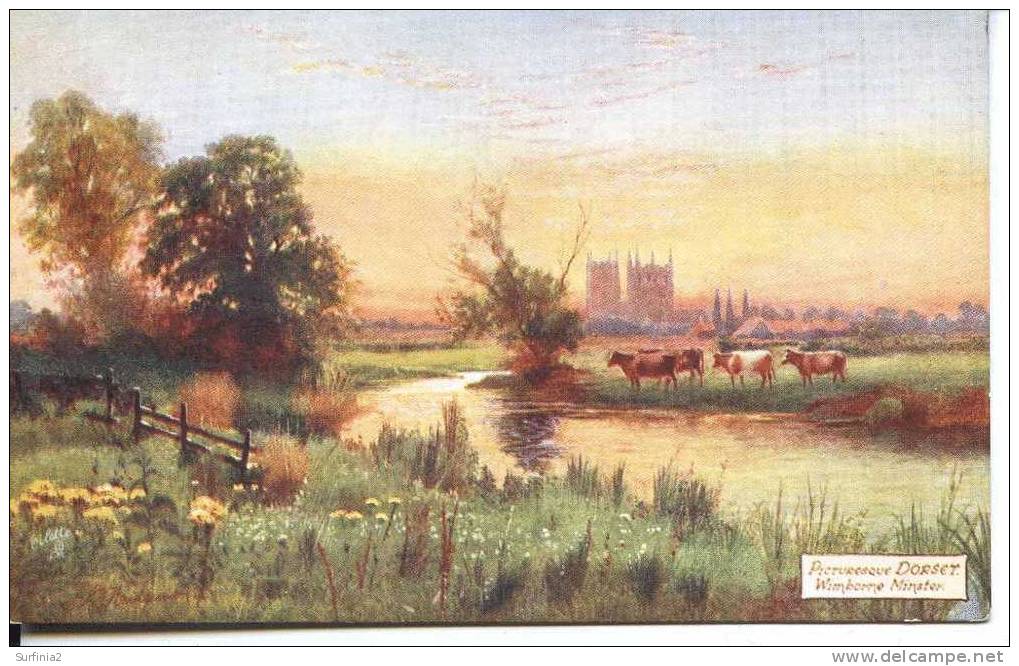 TUCKS OILETTE SERIES 7755 - PICTURESQUE DORSET - WIMBORNE - BRIDGEMAN - Sonstige & Ohne Zuordnung