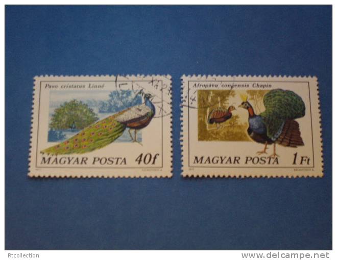 Magyar 1977 - A Set Of 2 Bird Peacock Animal Stamps Used - Peacocks