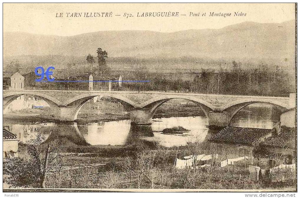 Cp 81 LABRUGUIERE Pont Et Montagne Noire  ( Habitations  Jardins , Linges Draps ) - Labruguière