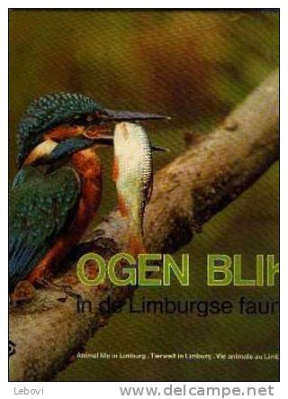 1983 - Firme DSM "Ogenblik In De Limburgse Fauna  - Vie Animale Au LIMBOURG" - Quadrilingue - Grand Format : 1981-90