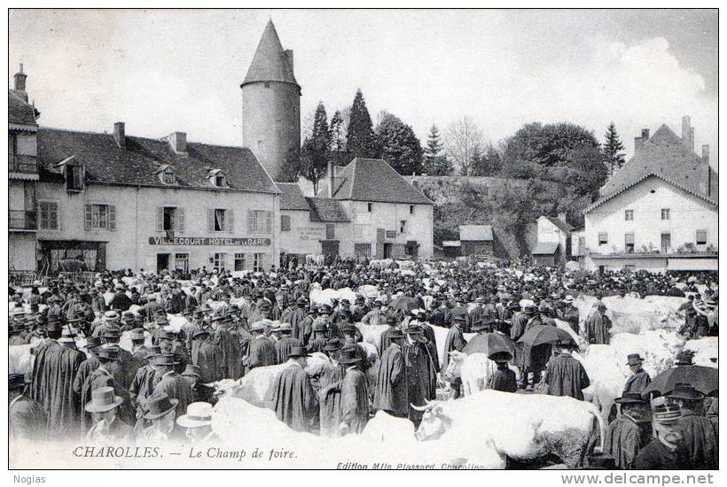 CHAROLLES - LE CHAMP DE FOIRE - SUPERBE CARTE TRES TRES ANIMEE D'UN MARCHE AUX BESTIAUX -  TOP !!! - Altri & Non Classificati