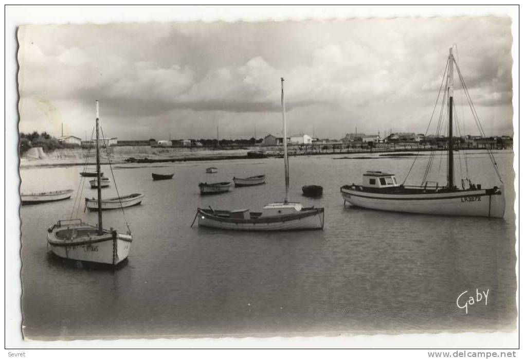 ANGOULINS Sur Mer - Le Port . CPSM 9x14 - Angoulins